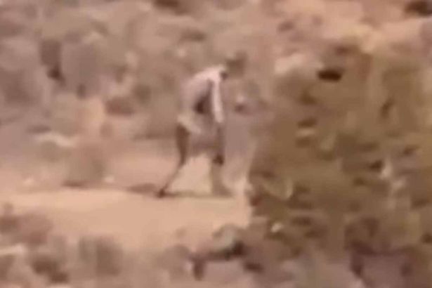 (Video) Extraña criatura humanoide grabada en un cerro estremece a los fanáticos de lo misterioso