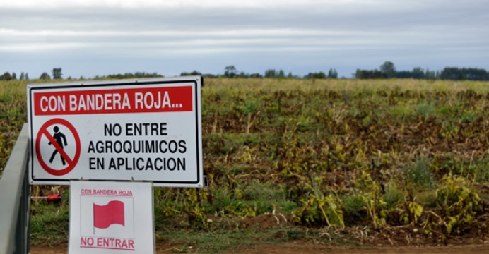 El polémico caso de contaminación por plaguicidas en 3.500 hectáreas de uva que alertó sobre su excesivo uso agrícola