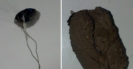 Quería cambiar el foco de luz de su casa pero se llevó esta espeluznante sorpresa