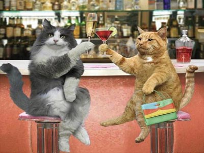 Ahora podrás compartir más profundamente con tu gato… ¡Compartiendo unos tragos!