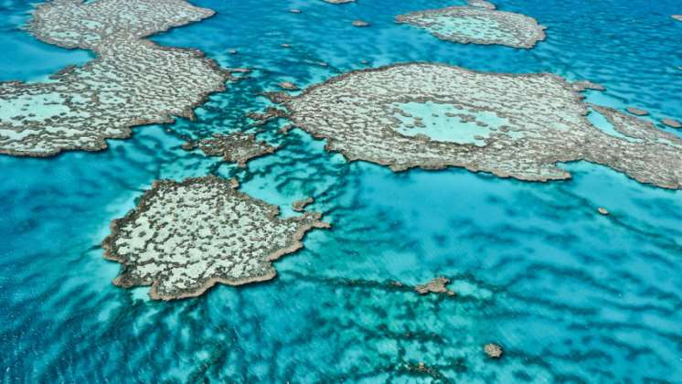 Hay otro enorme arrecife de coral escondido detrás de la Gran Barrera de Coral australiana