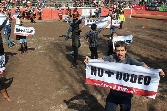 Convocan a gran movilización nacional por el fin del rodeo en Chile