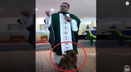 (Video) Perro endemoniado entra a iglesia en plena misa y comienza a morder al cura