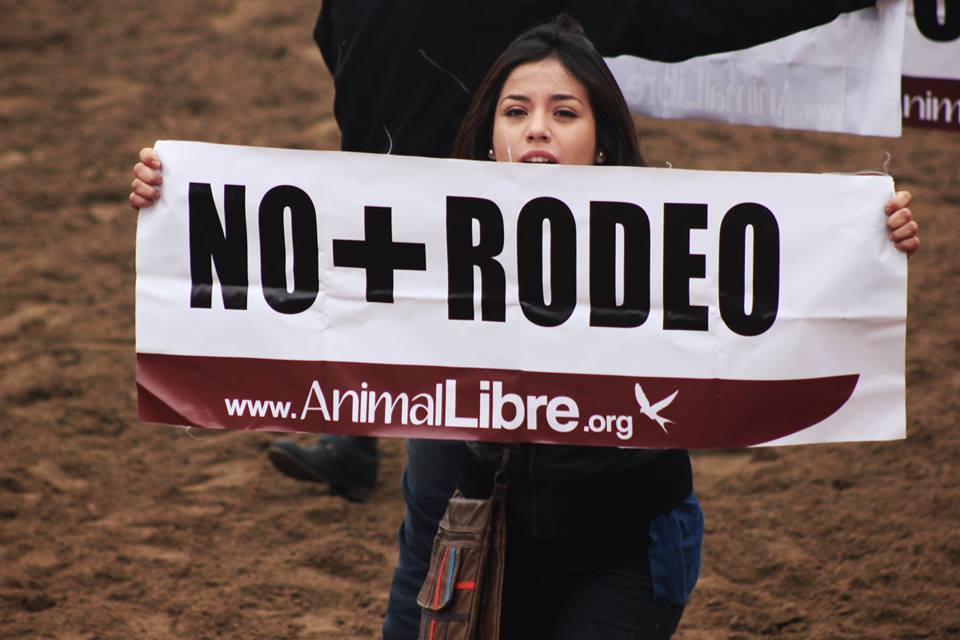 Eclipse en la medialuna: Los oscuros días que corretean al rodeo