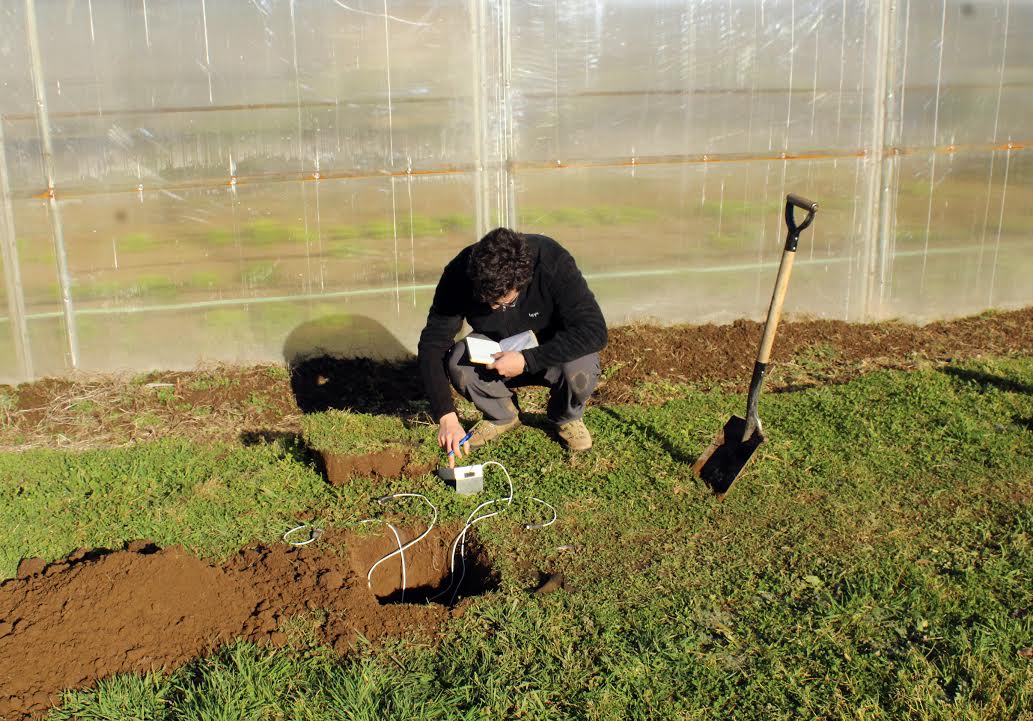 Aysén: Reos producirán verduras todo el año gracias a invernadero geotérmico