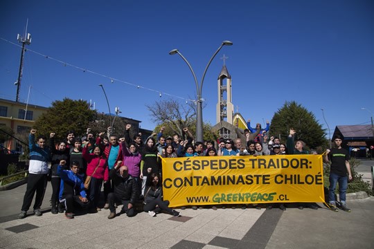 Greenpeace y su lapidario informe sobre crisis en Chiloé: «El gobierno los sacrificó en pro de la industria salmonera”