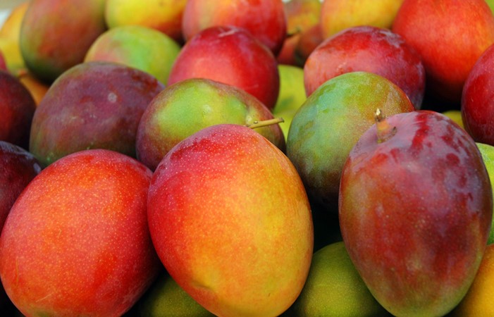 Mango, la super fruta tropical para la salud intestinal