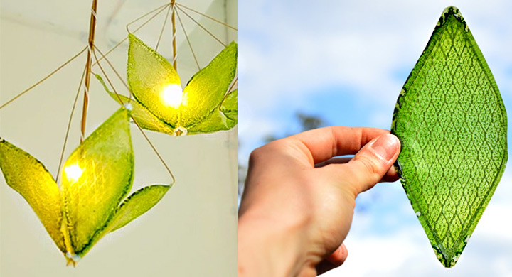 Crean una hoja sintética capaz de producir oxígeno a partir de la humedad y la luz