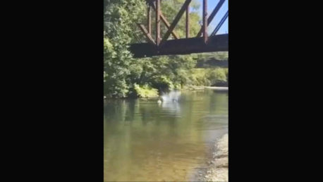 (Video) Indignantes imágenes: Hombre arroja a niño de 4 años desde puente muerto de risa
