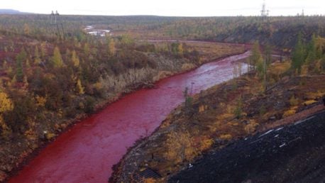 ¡Solucionado! Se acabó el misterio del llamado «río de sangre»