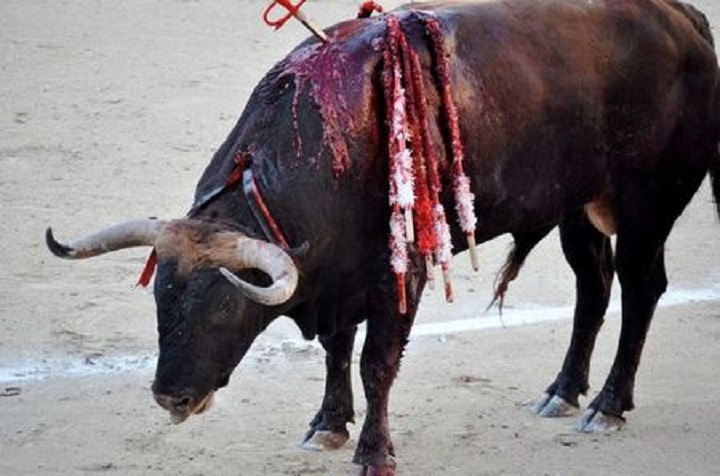 Convocan a la mayor manifestación para exigir el fin de los festejos taurinos en España