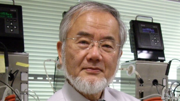 Japonés se queda con el Nobel de Medicina por investigaciones sobre autofagia celular