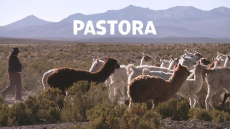 El documental que aborda la historia de la aymara que fue a la cárcel por perder a su hijo mientras pastoreaba