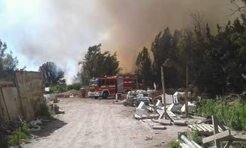 Habrían advertido a CONAF de posibilidad de incendios forestales en Vallenar