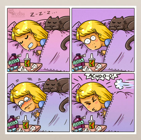 15 Cómics que captan perfectamente la vida con un gato