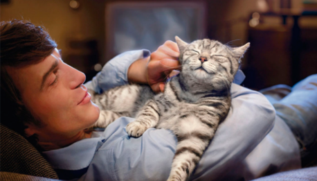 Esta es la razón de porqué a tu gato le encanta dormir encima tuyo