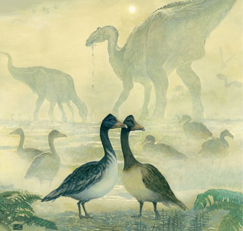 Investigadores reconstruyen el aparato fonador de un ave de la era de los dinosaurios