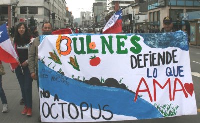 Octopus: Presentan reclamación para el Comité de Ministros ante SEA