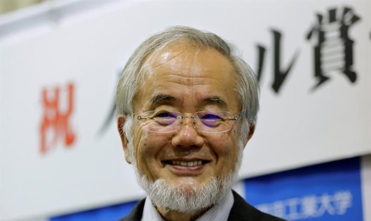 La semana Nobel de la ciencia parte con el premio de medicina para Yoshinori Ohsumi