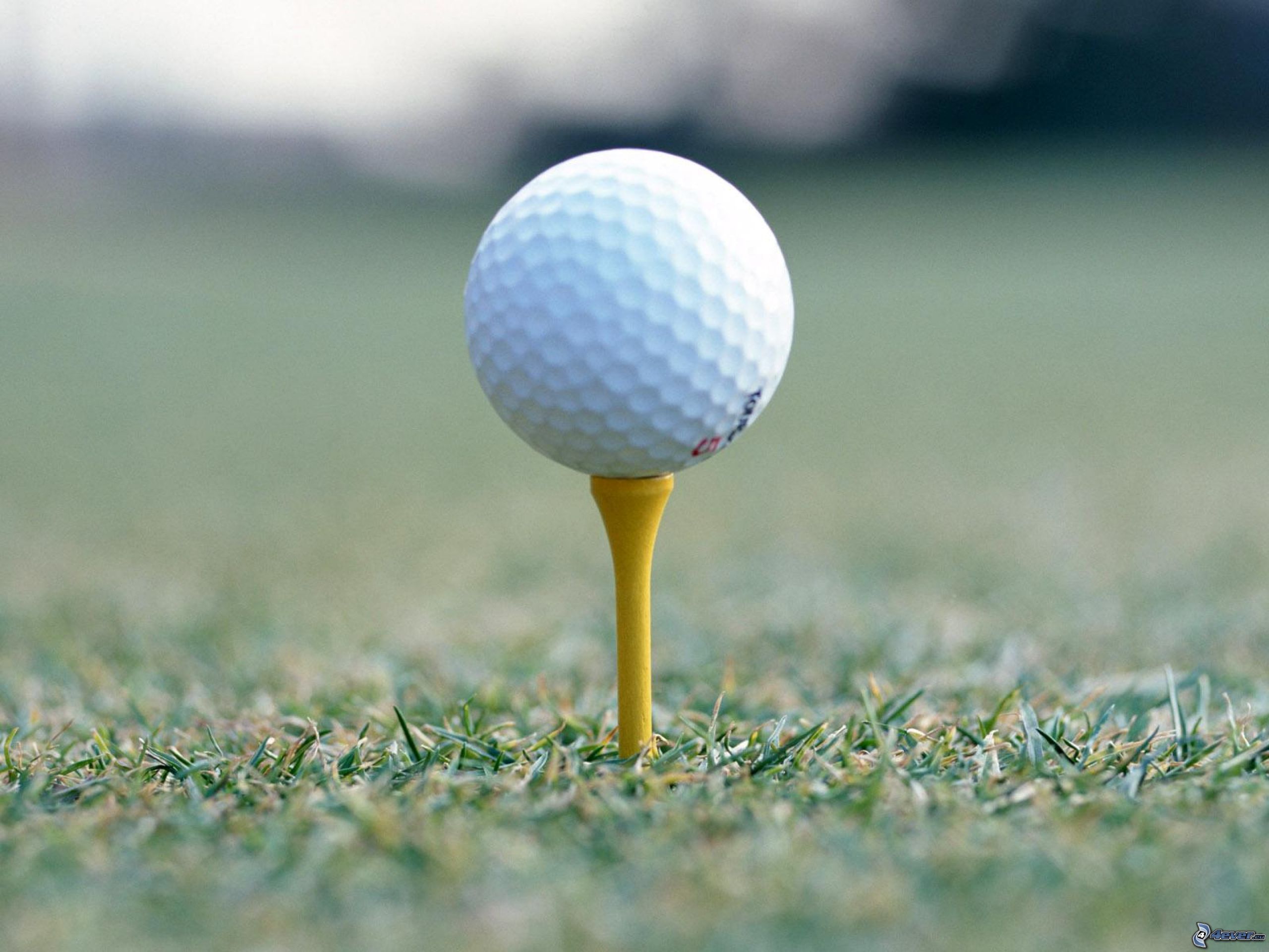 Abierto de Golf estadounidense se disputa en septiembre y sin público