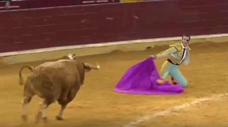 Torero que perdió un ojo vuelve a sufrir cornada (VIDEO)