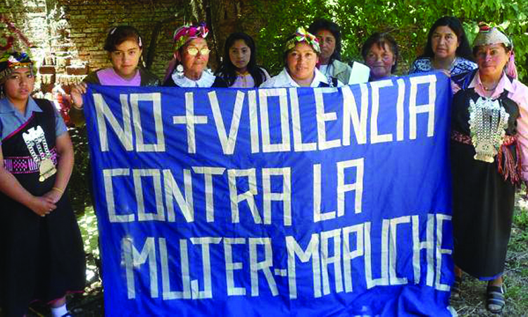 INDH se suma a acción judicial por mujer mapuche que fue violentada durante el parto