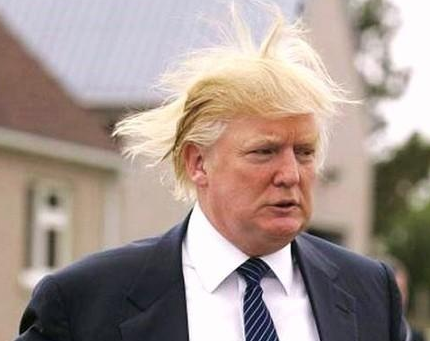 El pelo de Donald Trump
