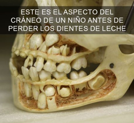 15 Fotos sorprendentes que te harán ver el mundo de otra forma