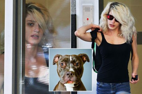 La confesión de la mujer que tuvo sexo con un perro Pitbull: “Me Arruinó La Vida”