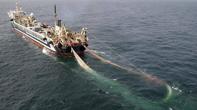 Aportes de pesqueras a parlamentarios: Atrapados en su red
