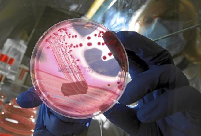 Científicos descubren nuevos antibióticos que podrían atacar superbacterias