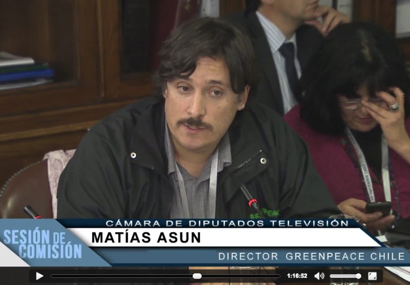 Matías Asún, director de Greenpeace Chile: «Está claro que Chile no está preparado para el cambio climático»