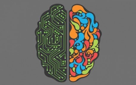 ¿Qué hemisferio del cerebro utilizas más? Este sorprendente test te lo dirá