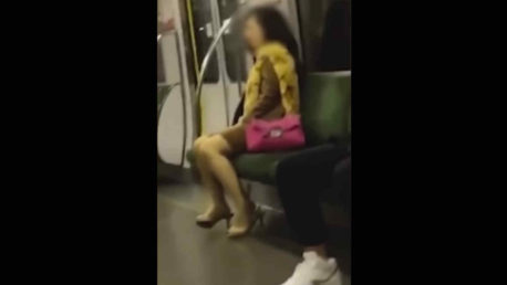 Captan a una mujer haciendo gemidos sexuales en un tren (VIDEO)