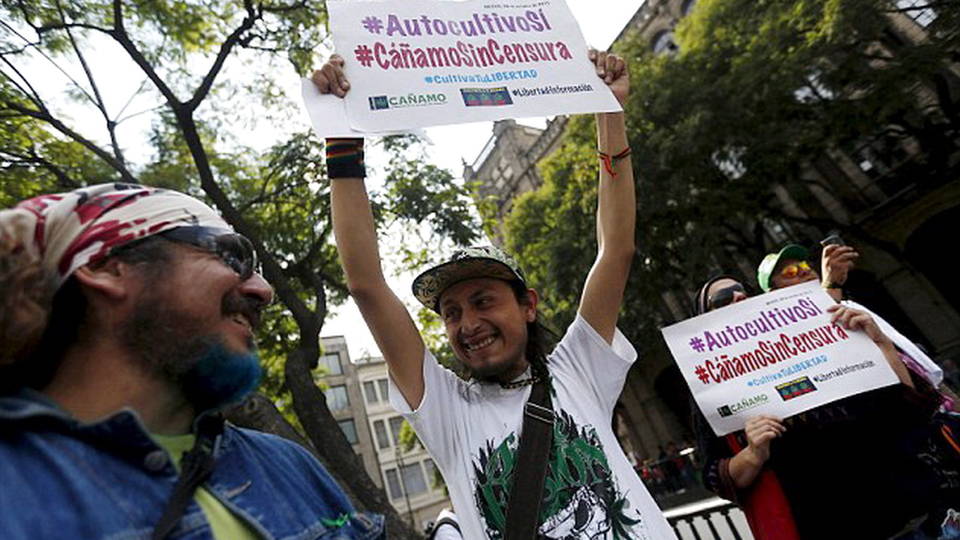 Congreso mexicano debate en torno a proyecto de ley para legalizar la marihuana para uso medicinal