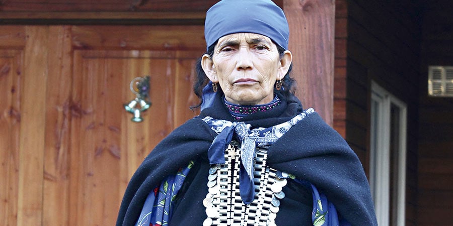 Red de lesbianas y feministas exige libertad de la machi Linconao, la autoridad ancestral mapuche