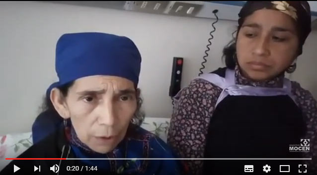 Youtube: Machi Linconao pide ayuda al Gobierno para salir de la cárcel