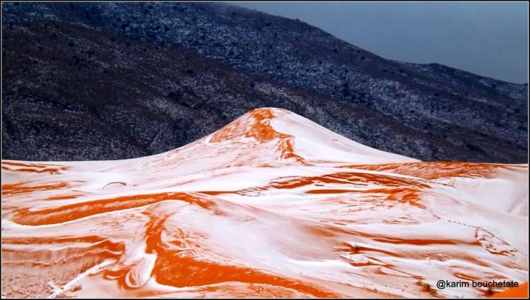 El desierto del Sahara ofreció un paisaje extraordinario después de 37 años