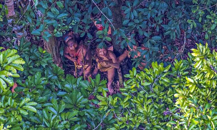 Investigadores logran impresionantes fotografias a una tribu aislada de la selva del Amazonas