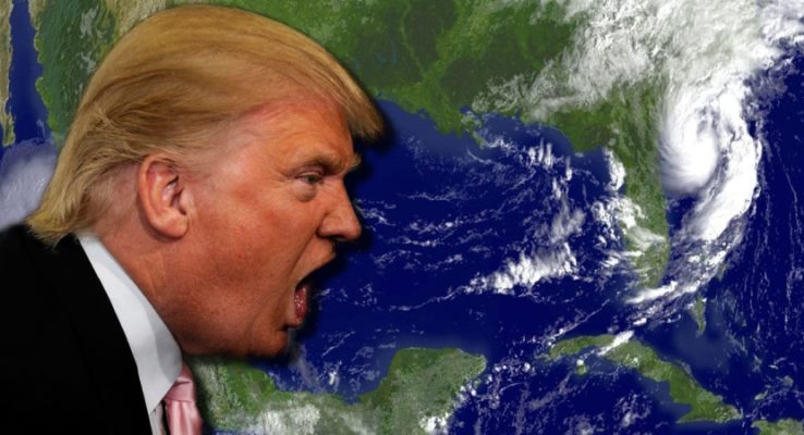 Científicos climáticos en firme campaña por proteger datos antes de que Trump asuma la presidencia