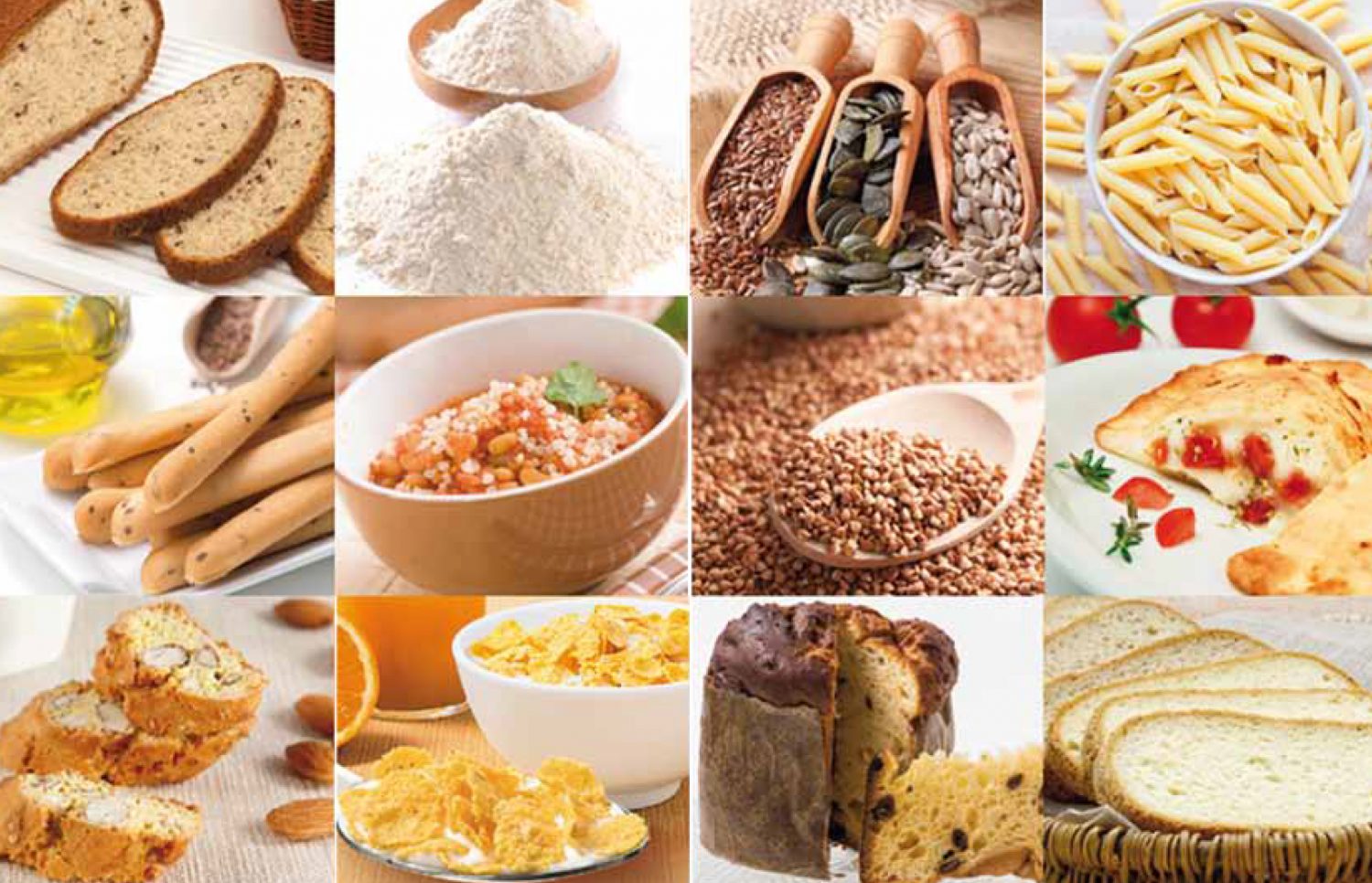 Aliments amb gluten Aliments amb gluten