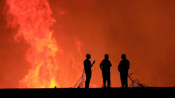 ¿Qué se debe aprender de los incendios forestales en el centro-sur de Chile?