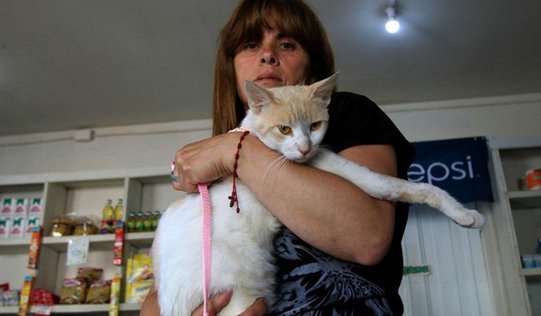 Justicia dicta condena por maltrato animal: Sujeto disparó postones a un gato
