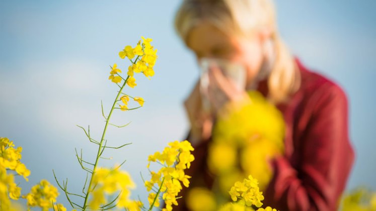 ¿Por qué algunas personas desarrollan alergias?