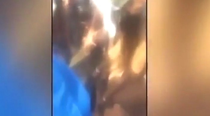 Argentinos se toman selfies con delfín bebé hasta matarlo (Video +18)
