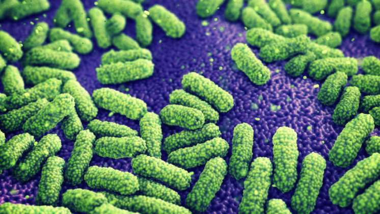 Otra persona murió en EEUU por causa de una «superbacteria»