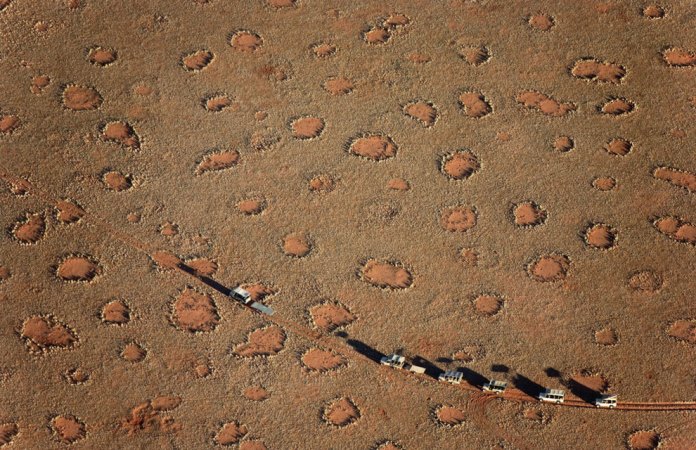 Científicos explican el origen de los «círculos de hadas» en Namibia
