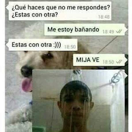 Humor: 21 Novias que se pasaron de celosas