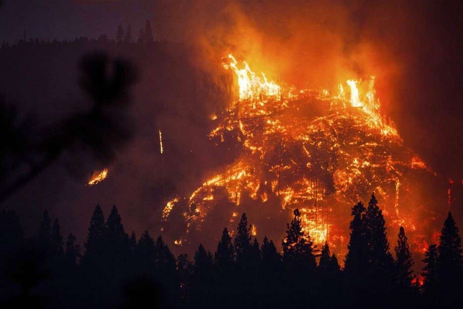 Solicitan Ministerio Público nombrar Fiscal Supraregional para indagar los incendios forestales