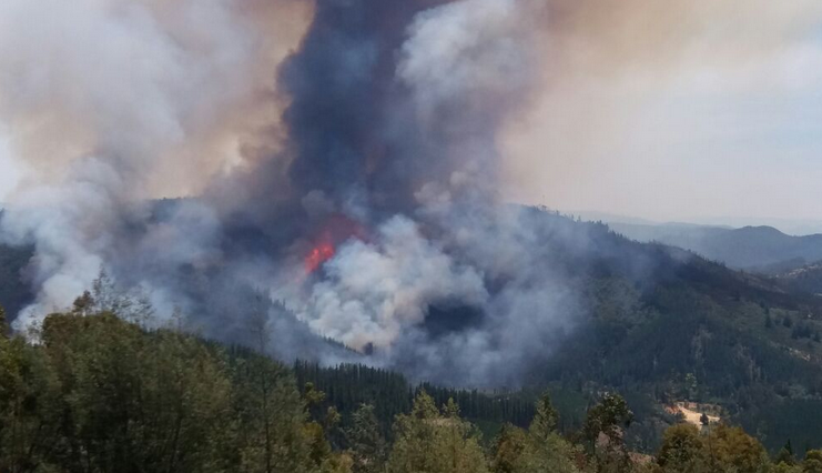 Incendios forestales no paran: Región del Maule secuestrada por el fuego